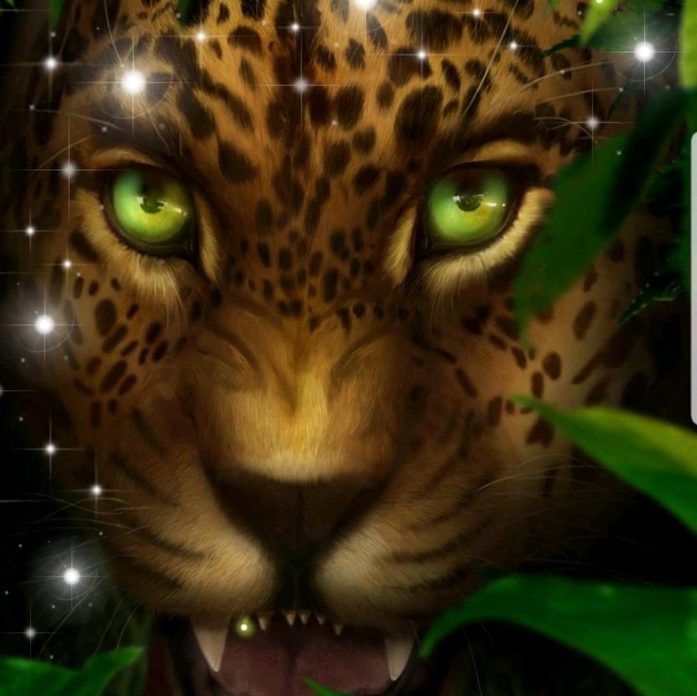 Meet your Posher, Deidre